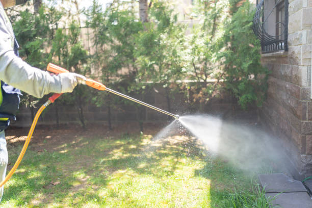 Flea Control Services in Crooked River Ranch, OR